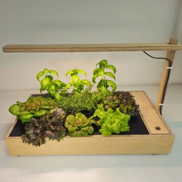 Kit de cultivo TEA
